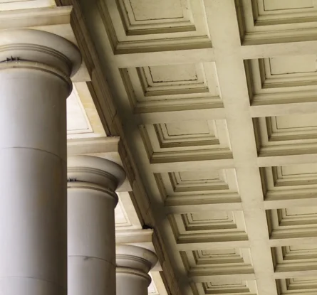 Tribute to Seventh Circuit Judge Illana Rovner