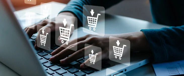 Overview of Schedule A Legal Challenges